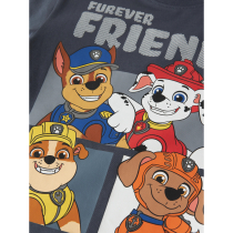 NAME IT Bluse Andreas Paw Patrol Ombre Blue